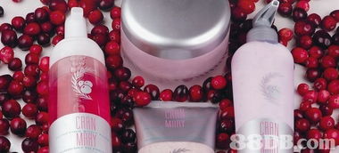 franche mineral cosmetics提供美容課程 彩妝分享 美容產品等服務